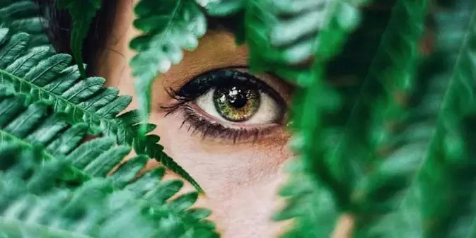 vision and training to restore it